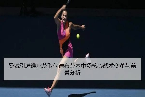 man-cheng-yin-jin-wei-er-ci-qu-dai-de-bu-lao-nei-zhong-chang-he-xin-zhan-shu-bian-ge-yu-qian-jing-fen-xi-2-941.jpg
