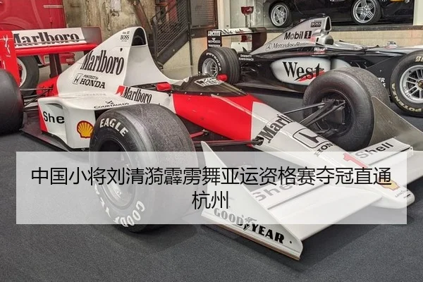 zhong-guo-xiao-jiang-liu-qing-yi-pi-li-wu-ya-yun-zi-ge-sai-duo-guan-zhi-tong-hang-zhou-2-269.jpg